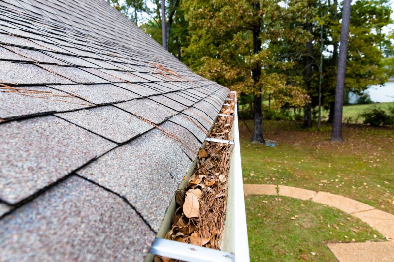 Commercial Gutter Maintenance in Roseville, CA