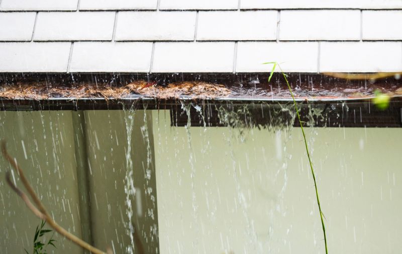 Downspout Blockage Removal in Monmouth County, NJ