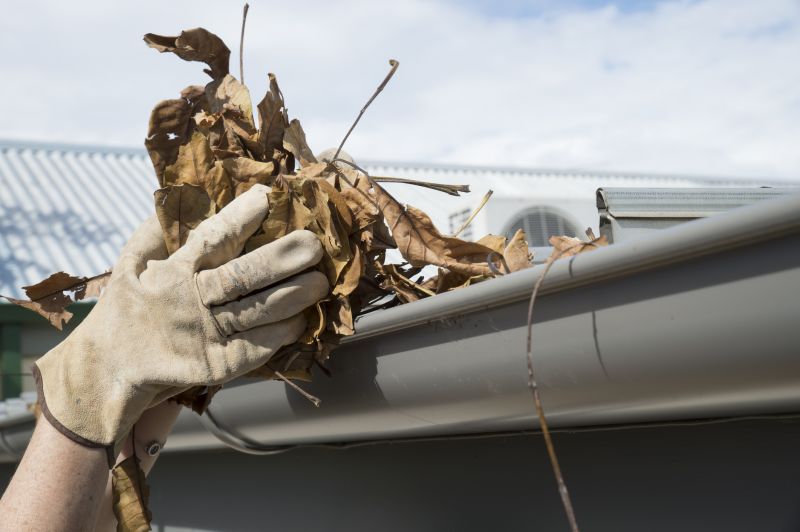 Gutter Blockage Removal in Fredericksburg, VA