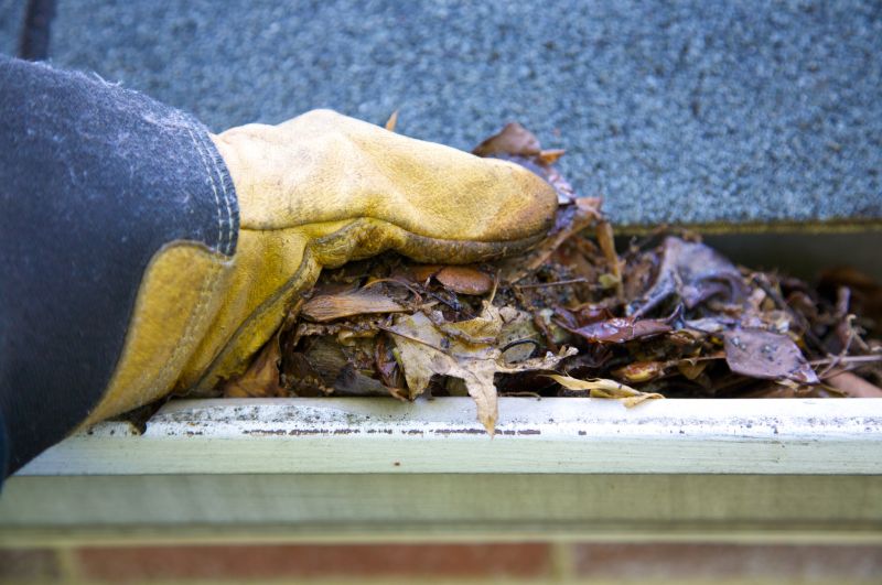 Gutter Blockage Removal in Monmouth County, NJ