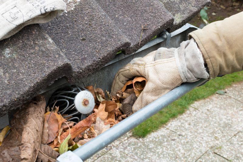 Gutter Leaf Clearing in Richmond, VA