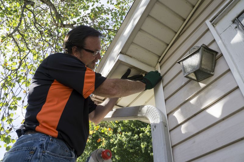 Gutter Leaf Removal