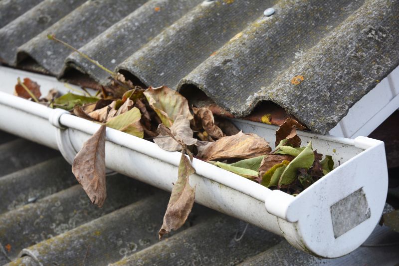 Clogged Gutter Clearing in Bergen County, NJ