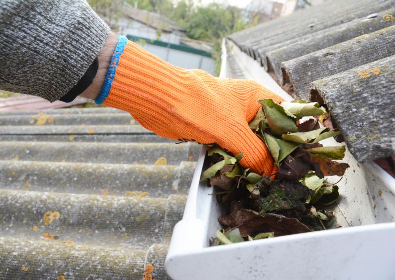 Commercial Gutter Cleaning in Roseville, CA