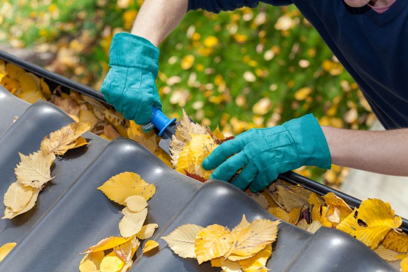 Commercial Gutter Unclogging in Denver, CO