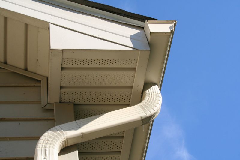 Downspout Blockage Removal in Monmouth County, NJ