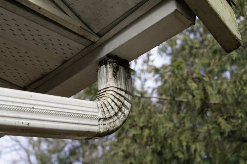 Downspout Snaking in Arvada, CO