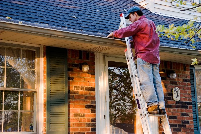 Garage Gutter Cleaning in Baltimore, MD