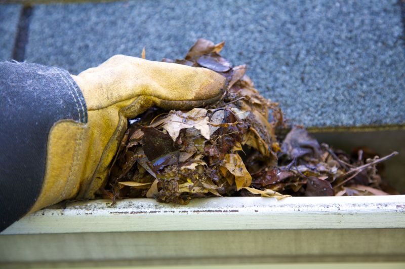 Gutter Inspection Tools