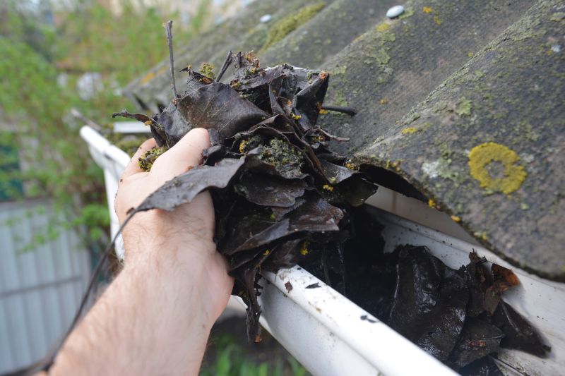 Gutter Leaf Clearing in Long Island, NY