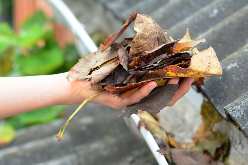 Gutter Leaf Clearing in Bergen County, NJ