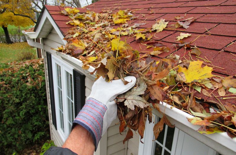 Gutter Leaf Clearing in Monmouth County, NJ
