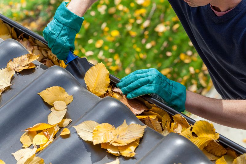 Gutter Leaf Clearing in Fredericksburg, VA