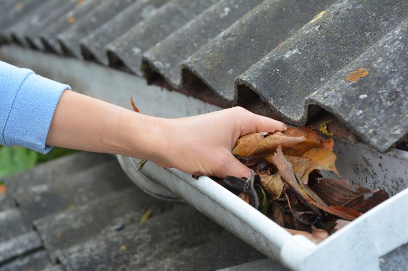 Gutter Leaf Clearing in Pittsburgh, PA