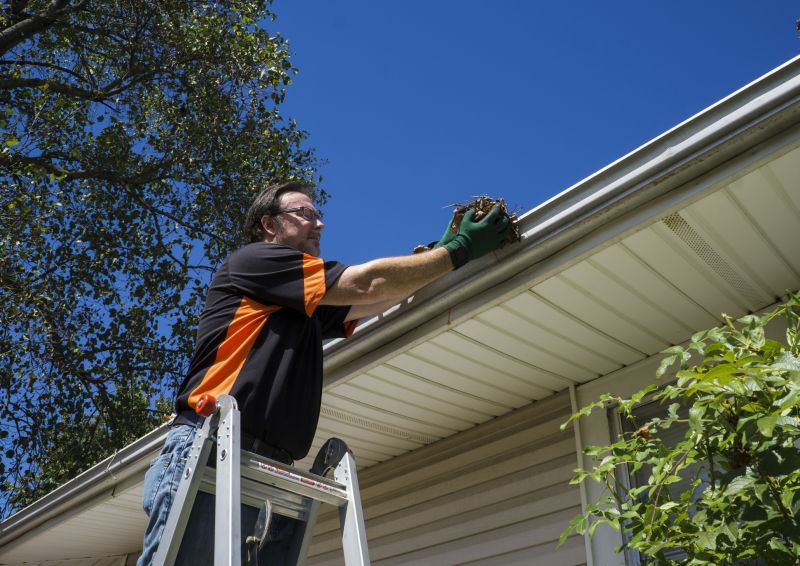Gutter Leaf Clearing in Arvada, CO