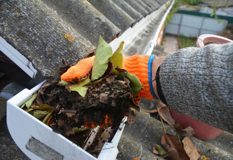Gutter Leaf Removal