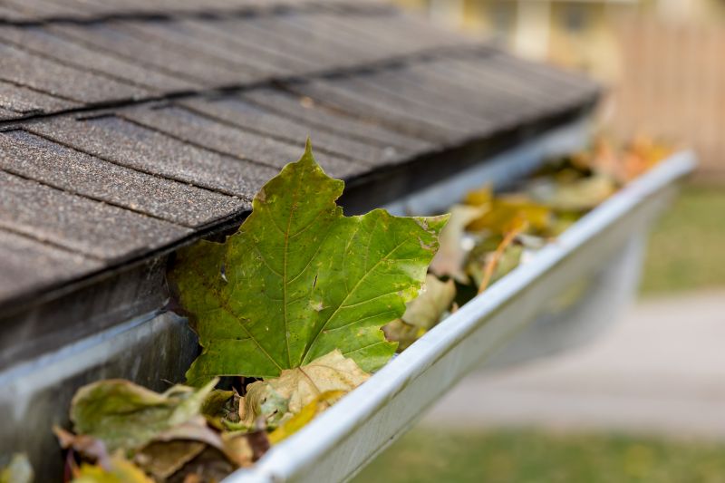 Gutter Inspection