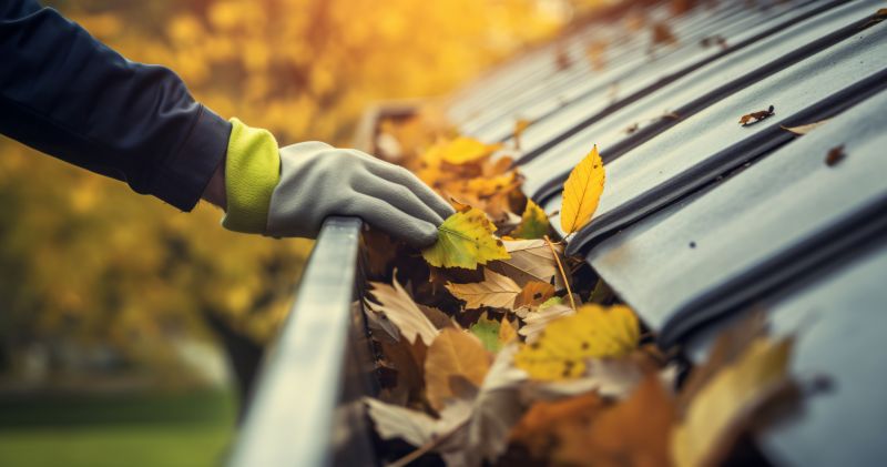 Gutter Leaf Removal in Autumn