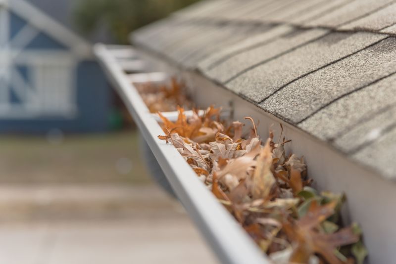 Gutter Leaves Removal in Bergen County, NJ