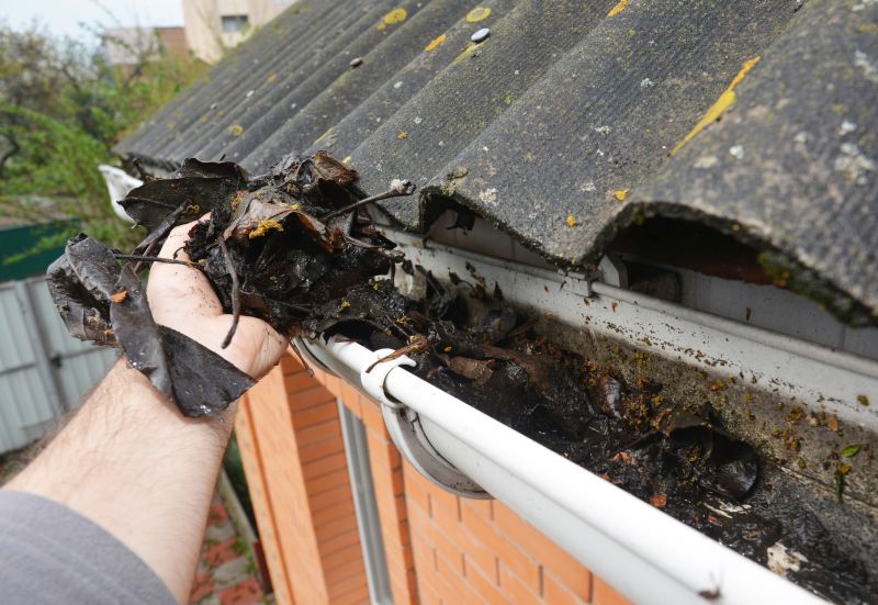 Gutter Leaves Removal in Boulder, CO