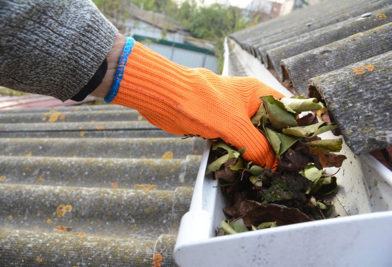 Gutter Leaves Removal in Annapolis, MD