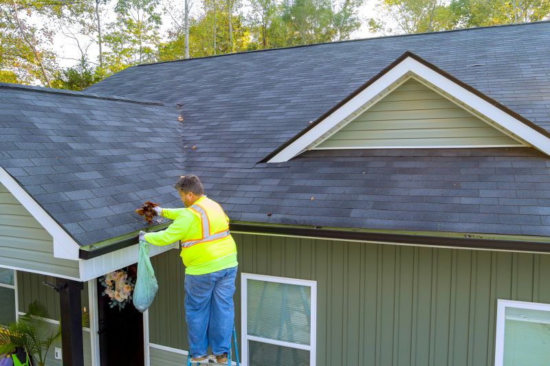 Gutter Maintenance