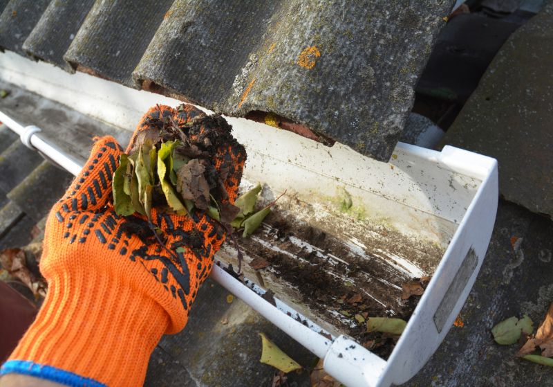 Gutter Maintenance in Arvada, CO